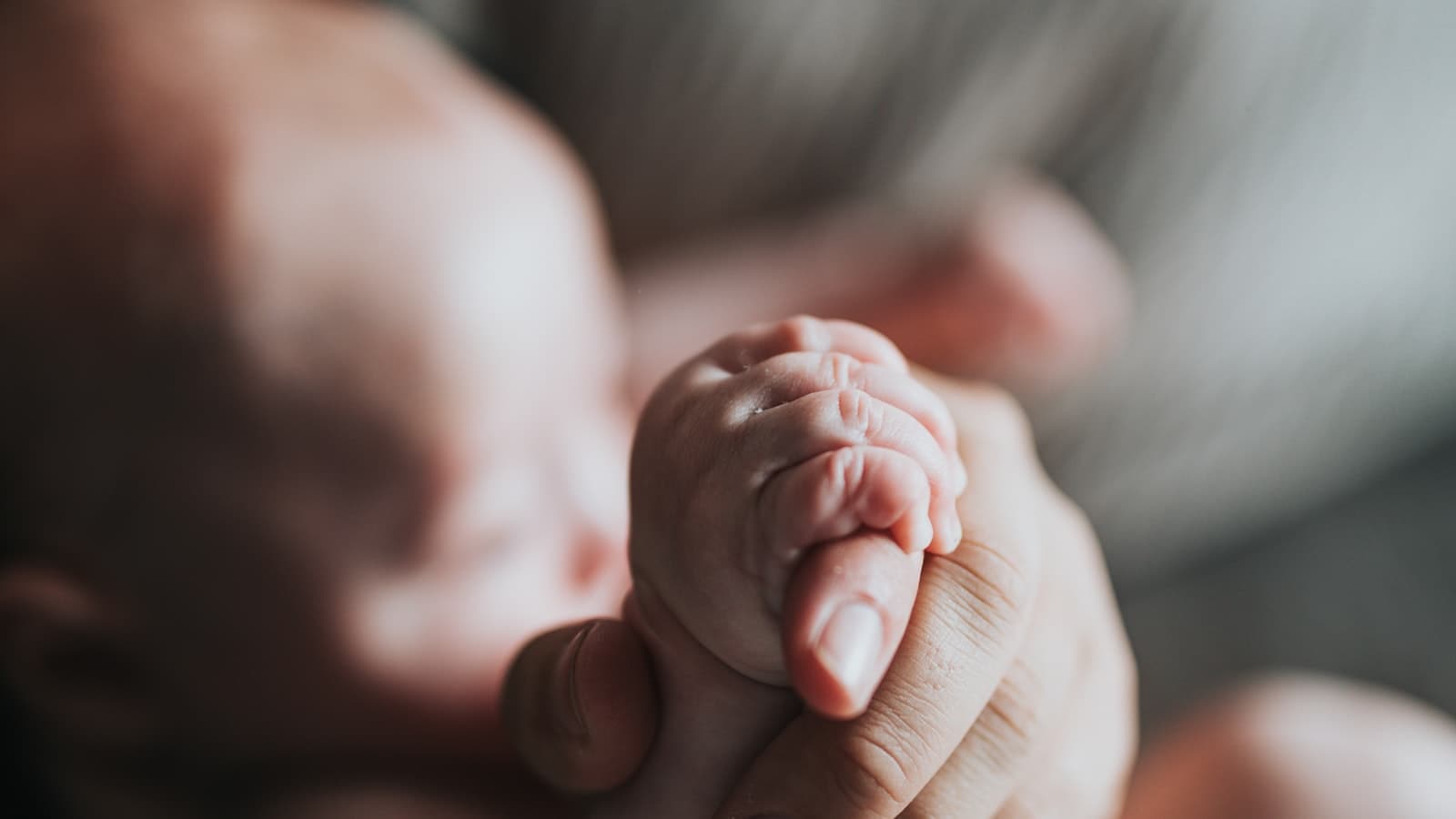 Newborn baby wrapped in soft blanket during a studio session